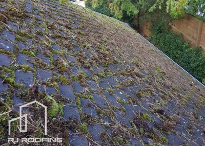 Before Moss Removal, Peterborough